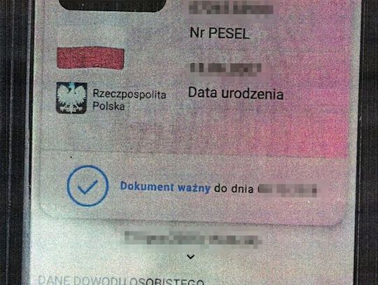 13 butelek alkoholu w plecaku 16-latka. Pokazał sprzedawcy fałszywy dokument