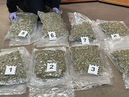 13 kilogramów marihuany w paczkach z Hiszpanii. Narkotykowe odkrycie w sortowni przesyłek