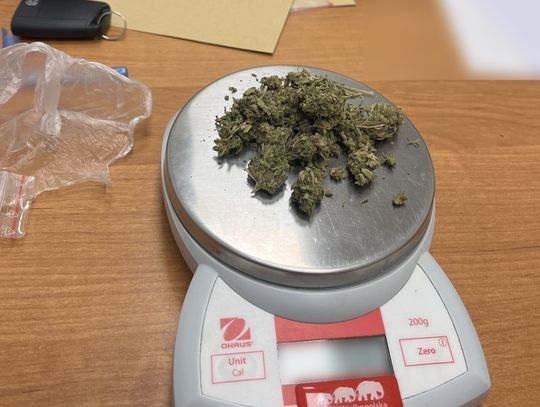 14-latek złapany z marihuaną. Zdradził go zapach, który poczuli policjanci