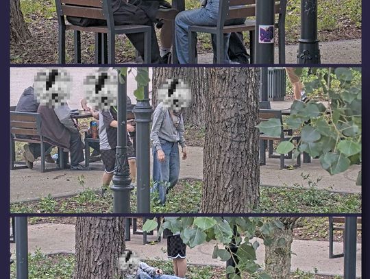 14-latka była tak pijana, że nie potrafiła wstać, ani logicznie złożyć zdania. Strażnicy miejscy wezwali karetkę