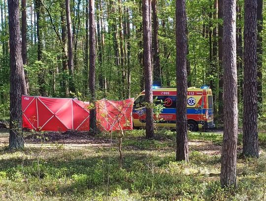 14-latka zginęła po upadku z konia. Tragiczny wypadek na Lubelszczyźnie