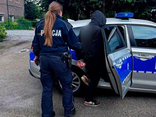 15-letni diler zatrzymany przez policję. Handlował amfetaminą wśród rówieśników