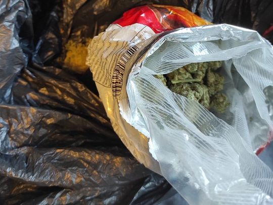 16-latek chciał zostać dilerem, ale matka znalazła towar i poszła na policję. Przyznał się do wszystkiego