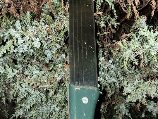 16-latek razem z koleżanką sterroryzowali rówieśnika maczetą. Musiał klęczeć, a oni nagrywali