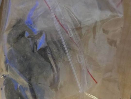 16-latek z marihuaną. Tłumaczył, że wagą sprawdzał, czy dostał tyle, za ile zapłacił