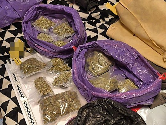 17-latek miał ponad trzy kilogramy narkotyków. Chłopak rozprowadzał je w środowisku kibiców