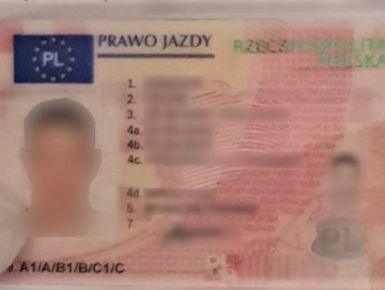 18-latek wpadł z lipnym prawem jazdy. Tłumaczył, że takie wysłali mu pocztą z WORD-u