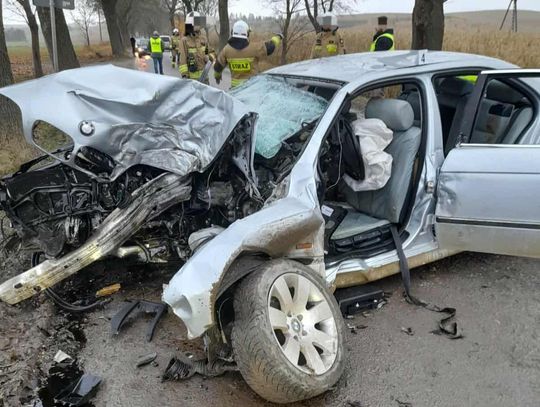 19-latek nie opanował BMW, zjechał z drogi i uderzył w drzewo. Pięć osób trafiło do szpitali
