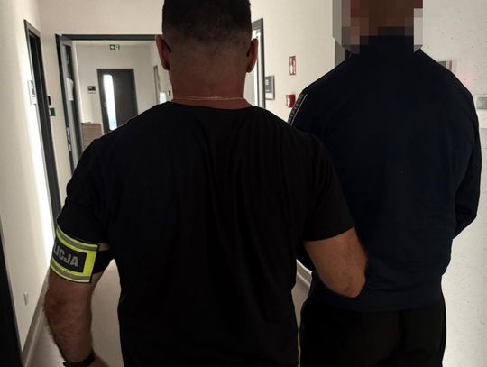 19-latek przywiózł narkotyki z Holandii do Polski. Grozi mu za to nawet 20 lat więzienia