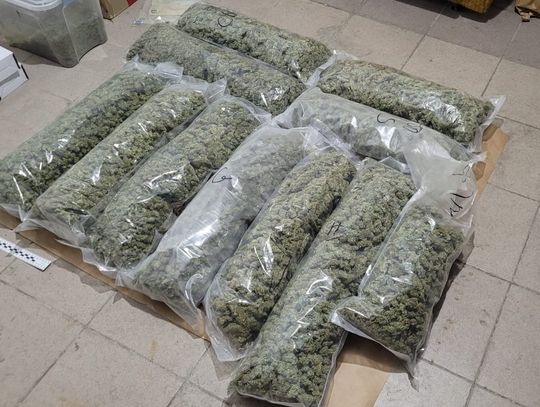 19-letni diler zatrzymany z narkotykami za 3 miliony złotych [FOTO, WIDEO]