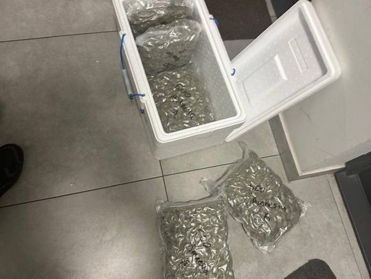 2,5 kilograma marihuany w paczce z Hiszpanii. Zatrzymany 21-latek i jego 25-letnia wspólniczka