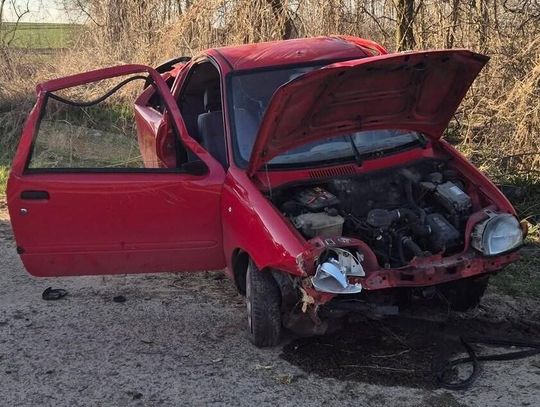 20-latek bez prawka wjechał Fiatem w drzewo. W wypadku zginął młody pasażer osobówki