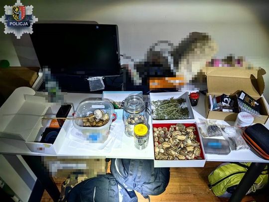 20-latek zatrzymany z dużą ilością ecstasy i mlekiem makowym. Grozi mu nawet 10 lat więzienia