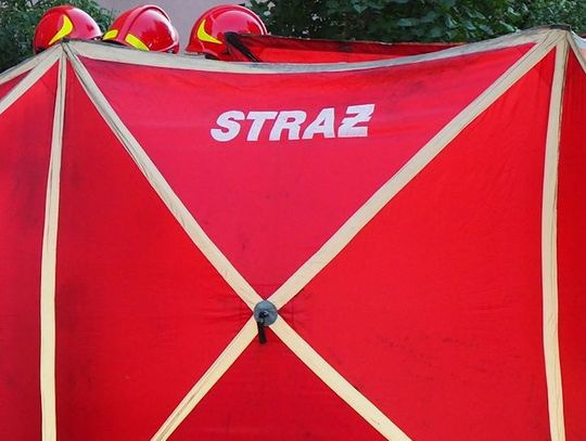 20-letni kierowca audi śmiertelnie potrącił kobietę na pasach. Grozi mu kara do 8 lat więzienia