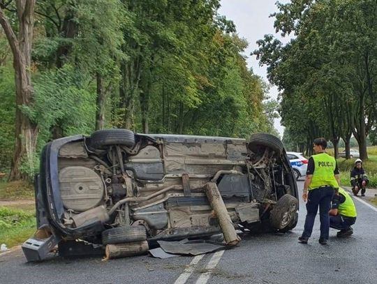 20-letni kierowca wjechał BMW w drzewo. W wypadku zginęła 19-letnia dziewczyna