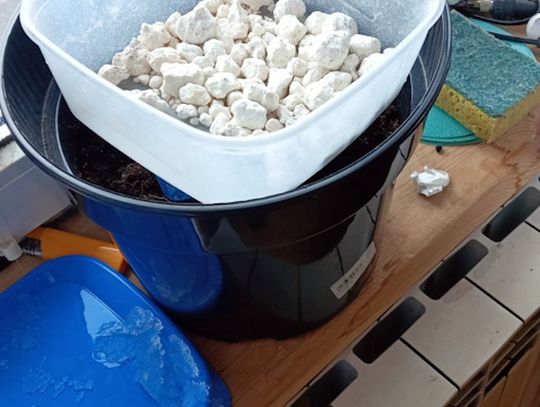 21-latek miał w mieszkaniu 1,5 kilograma amfetaminy. Wraz z nim zatrzymano poszukiwanego kolegę