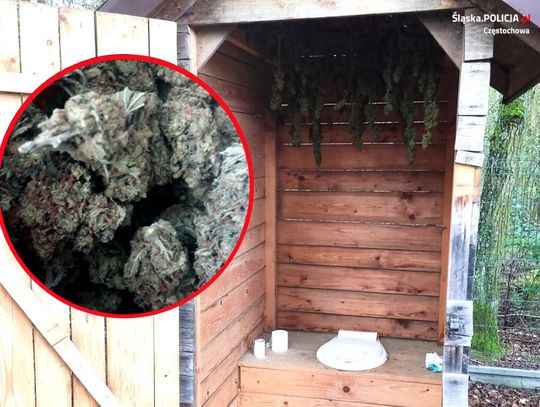 21-latek uprawiał zioło na działce, suszarnię urządził w... toalecie [ZDJĘCIA]