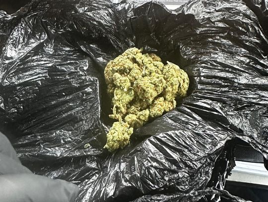 23-latek chciał poczęstować dwie policjantki marihuaną. Pomylił je z dziewczynami z imprezy