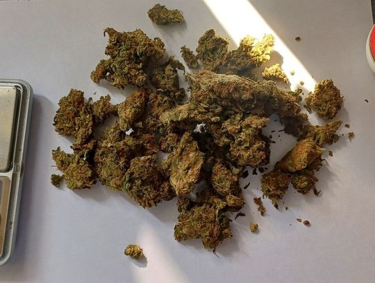 23-latek częstował marihuaną nastolatki. Wpadł podczas rutynowej kontroli policji