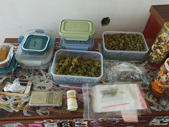 24-latek przechowywał narkotyki w lodówce. Po nalocie policji został aresztowany na trzy miesiące