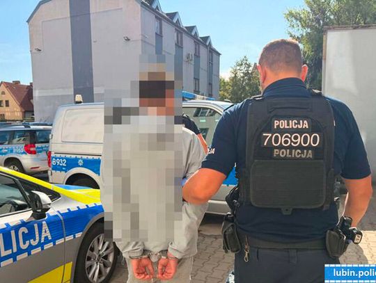 24-latek wymyślił sobie, że będzie żył z kradzieży. Miał zaległy wyrok do odsiedzenia, a teraz usłyszał 12 zarzutów