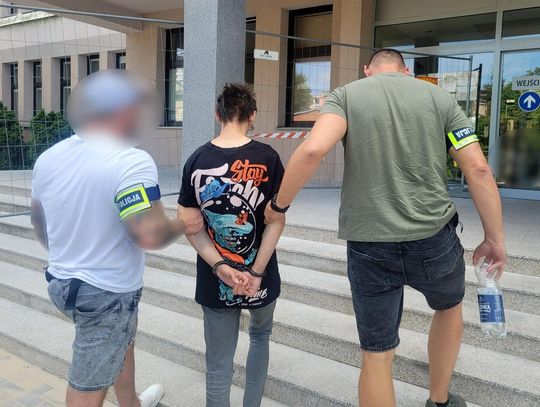 25-latek aresztowany za znęcanie się nad psami, kotami i gryzoniami. Część zwierząt nie przeżyła