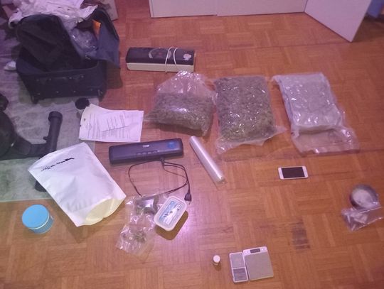 25-latek miał w mieszkaniu "lokalny" magazyn narkotyków. Został zatrzymany i tymczasowo aresztowany