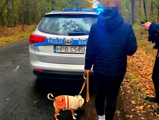 25-latka na grzybobraniu odłączyła się od koleżanki i straciła orientację. Policjanci pomogli jej się wydostać