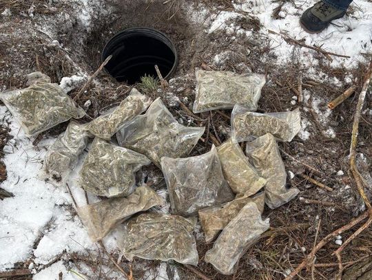 27-latek zakopał narkotyki w beczce. Policjanci znaleźli prawie 3,5 kg różnych nielegalnych substancji