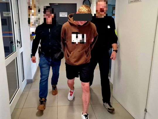 28-latek miał narkotyczne chipsy, ciastka, żelki i e-papierosy. Został tymczasowo aresztowany