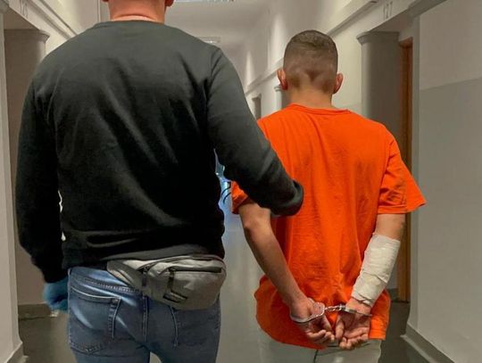 28-latek odkręcił gaz i chciał wysadzić mieszkanie. Wcześniej zabił dwa psy i groził byłej partnerce