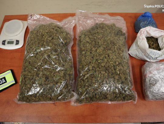 28-letni pseudokibic zatrzymany z kilkunastoma kilo różnych narkotyków [FOTO]