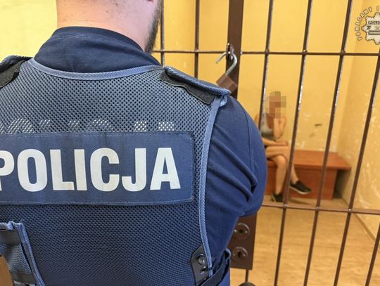 32-latka jechała autem mając blisko 3,5 promila we krwi. W tym stanie przewoziła dziecko i psa