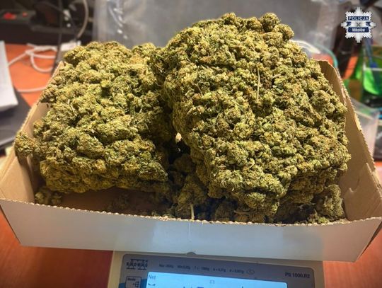 33-latek wpadł podczas przewożenia kilograma marihuany. Grozi mu nawet 10 lat więzienia