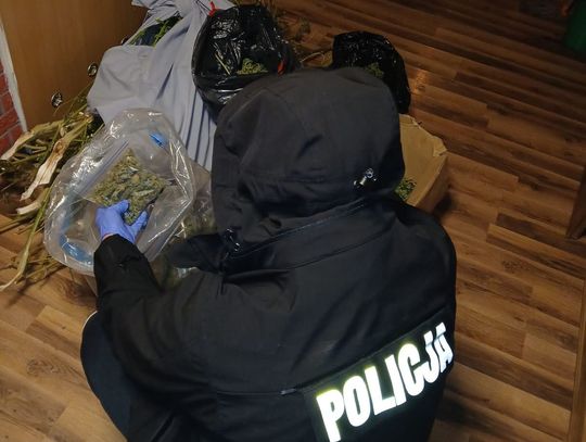 36-latek miał 10 kilogramów marihuany. W trakcie zatrzymania przyszedł do niego klient