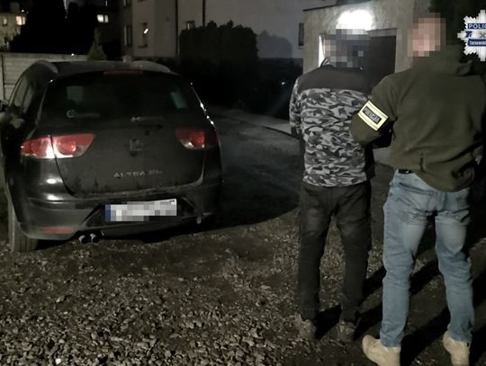 41-latek zatrzymany w piwnicy z narkotykami. Wpadł przez tablice rejestracyjne w aucie