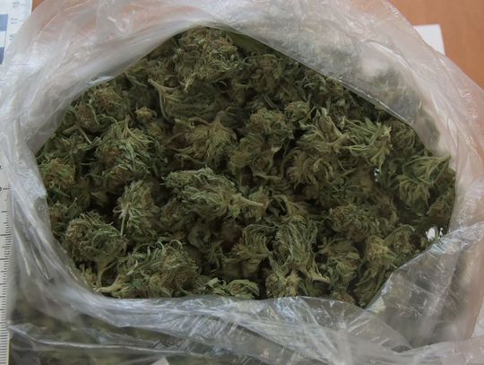 44-latek aresztowany za narkotyki. Policjanci znaleźli marihuanę, mefedron i amfetaminę