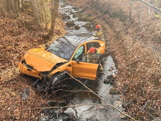 44-latek rozbił elektrycznego mustanga w potoku. Zbiegł z miejsca - znaleźli go martwego w domu