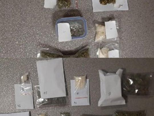 50-latek miał prawie 300 gramów narkotyków. Tłumaczył, że to tylko jego zapas na zimę