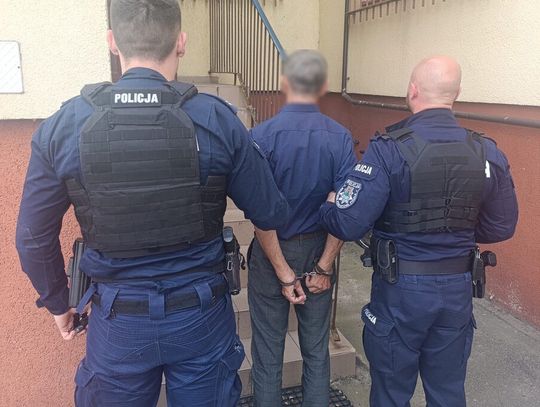 62-latek bił psa metalową rurką. Wpadł, bo właściciel zwierzęcia zamontował w domu kamerę