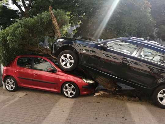 75-latek chciał tylko zaparkować beemkę, ale za mocno wcisnął gaz. Skasował auto sąsiada