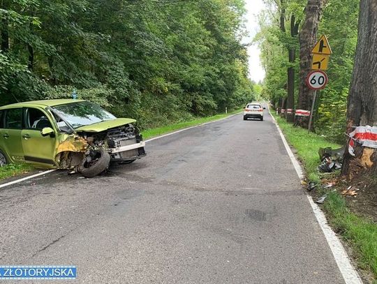 81-latek walczył z pszczołą w trakcie jazdy autem. Skończyło się czołówką z drzewem