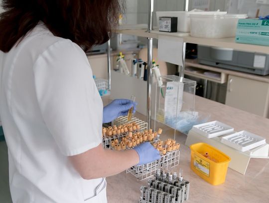 82-latka miała zakaz przyjmowania pacjentów, ale nadal to robiła. Brała kilkaset złotych za wizytę 82-latka miała zakaz przyjmowania pacjentów, ale nadal to robiła. Brała kilkaset złotych za wizytę