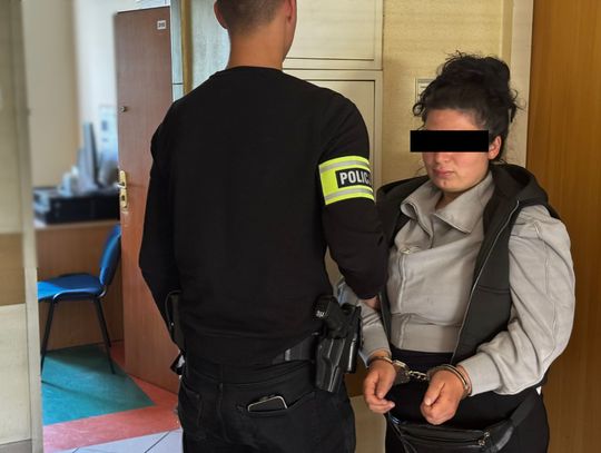 Akcja "HOSTEL": policjanci zatrzymali pięcioro nielegalnych imigrantów i dwóch poszukiwanych Polaków