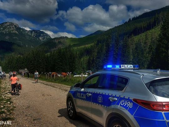 Akcja policji na drodze do Morskiego Oka. 8-letni chłopiec oddalił się od rodziny