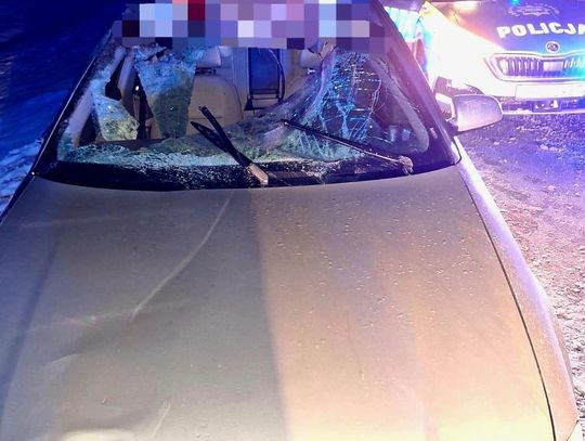 Auto kompletnie rozbite po zderzeniu z łosiem. Kierowca może mówić o ogromnym szczęściu