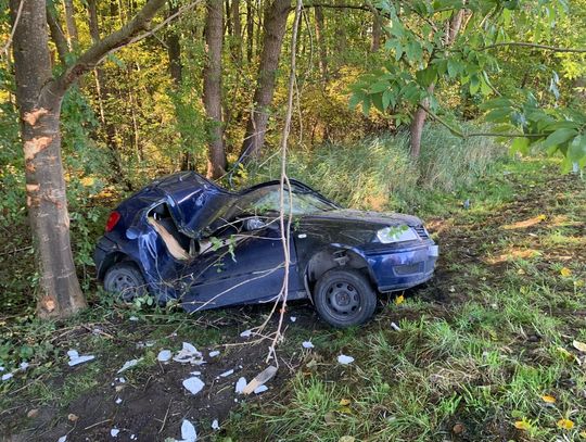 Auto z młodą kobietą w środku zmiażdżone na drzewie. 20-latka miała mnóstwo szczęścia