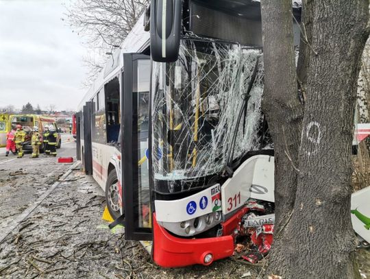Autobus miejski wjechał w drzewo. W wypadku ranny został kierowca i 8 pasażerów [ZDJĘCIA]