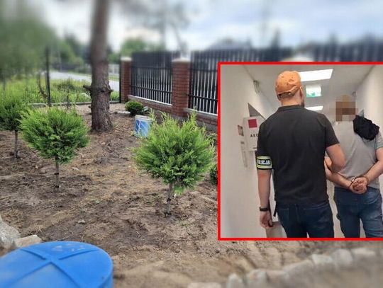 Bardzo spodobały mu się krzewy w cudzym ogrodzie. Wykopał je i posadził na własnej działce