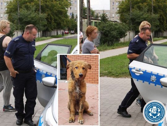 Bestie, nie kobiety. Kopały w worek z psem. Potem próbowały go utopić